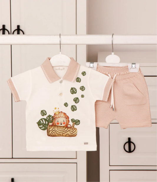 Baby Boy Lion Set