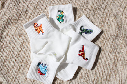 Dinosaur Adventure Socks - 5-Pack